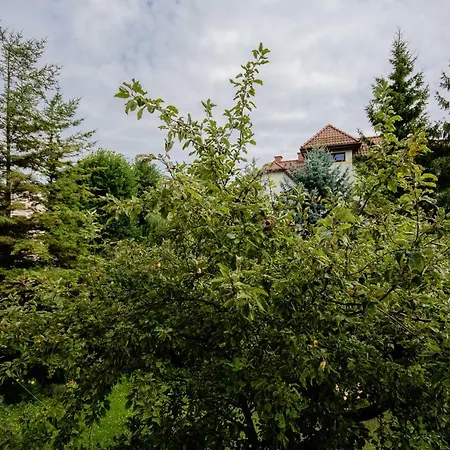 Apartment Apartament Ksiazecy